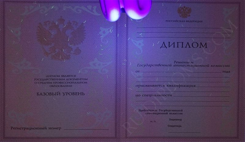 Диплом техникума или колледжа 2004-2006 год 